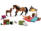 CALENDRIER DE L'AVENT HORSE CLUB NOEL 2023 - SCHLEICH - 98982 - FIGURINE CHEVAUX