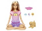 COFFRET BIEN ETRE BARBIE MEDITATION - RISE & RELAX - MATTEL - HCN08 - POUPEE, CHIOT & ACCESSOIRES