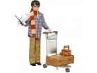 COFFRET COLLECTOR HARRY POTTER QUAI 9 3/4 : HARRY POTTER + CHOUETTE HEDWIGE + ACCESSOIRES - POUPEE - MATTEL GXW31