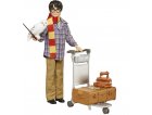 COFFRET COLLECTOR HARRY POTTER QUAI 9 3/4 : HARRY POTTER + CHOUETTE HEDWIGE + ACCESSOIRES - POUPEE - MATTEL GXW31