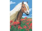 COFFRET NUMERO D'ART 3 TABLEAUX ANIMAUX : CHATONS, CHIEN & CHAT, CHEVAL - RAVENSBURGER - 28508 - PEINTURE