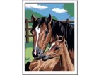 CREART CHEVAUX TENDRESSE 18x24CM - NUMERO D'ART ANIMAUX - RAVENSBURGER - 258116 - PEINTURE