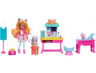 ENCHANTIMALS LE CABINET DU DOCTEUR CHAT : POUPEE + 2 ANIMAUX + 12 ACCESSOIRES - MATTEL - HLH22
