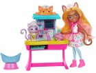 ENCHANTIMALS LE CABINET DU DOCTEUR CHAT : POUPEE + 2 ANIMAUX + 12 ACCESSOIRES - MATTEL - HLH22