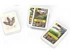 JEU DE FAMILLES LES DINOSAURES 32 CARTES - DUCALE ENFANT - JEU DE SOCIETE, VOYAGE