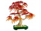 LEGO BOTANICALS 10348 BONSA D'ERABLE ROUGE DU JAPON