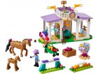 LEGO FRIENDS 41746 LE DRESSAGE EQUESTRE