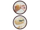 MAXI PACK 12 OEUFS DE DINOSAURES A DETERRER - BUKI - 2138 - KIT EXCAVATION, FOUILLES