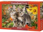 PUZZLE 2 ADORABLES CHATONS DANS LA NATURE - 1500 PIECES COLLECTION ANIMAUX FAMILIERS - CASTORLAND - 151899