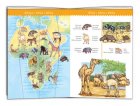 PUZZLE D'OBSERVATION LES ANIMAUX DU MONDE AVEC LIVRET 100 PIECES - DJECO - DJ07420