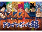 PUZZLE DRAGON BALL Z EVOLUTION SAN GOKU / SANGOKU 300 PIECES - COLLECTION MANGA - EDUCA - 19188