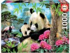 PUZZLE LA FAMILLE DE PANDA 1000 PIECES - COLLECTION ANIMAUX - EDUCA 17995