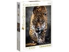 PUZZLE LA MARCHE DU JAGUAR 1000 PIECES - COLLECTION ANIMAUX SAUVAGES - CLEMENTONI - 39326