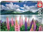 PUZZLE LUPINS SUR LES RIVES DU LAC DE SILS 1500 PIECES - COLLECTION PAYSAGE SUISSE - EDUCA - 19271