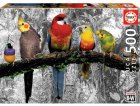 PUZZLE PERROQUETS DANS LA JUNGLE 500 PIECES - COLLECTION OISEAUX - EDUCA - 17984