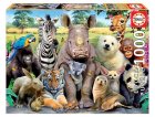 PUZZLE PHOTO SELFIE DROLES D'ANIMAUX SAUVAGES 1000 PIECES - SERIE SPECIALE - EDUCA - 15517