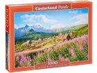 PUZZLE POLOGNE : GASIENICOWA VALLEE DANS LES MONTAGNES TATRAS 1000 PIECES - COLLECTION PAYSAGE ASIE ET MONTAGNE - CASTORLAND