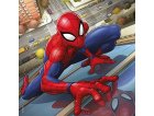 PUZZLE SPIDERMAN ET VENOM 3 X 49 PIECES - RAVENSBURGER SPIDER-MAN - 080250