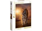 PUZZLE TIGRE DANS LA SAVANE 1500 PIECES - COLLECTION ANIMAUX SAUVAGES - CLEMENTONI 31806