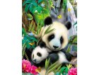 PUZZLE XXL BEBE PANDA ET PANDA DANS LA FORET 300 PIECES - RAVENSBURGER - ANIMAUX FORET - 130658