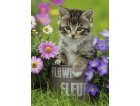 PUZZLE XXL CHATON PARMI LES FLEURS 100 PIECES - RAVENSBURGER - 10847